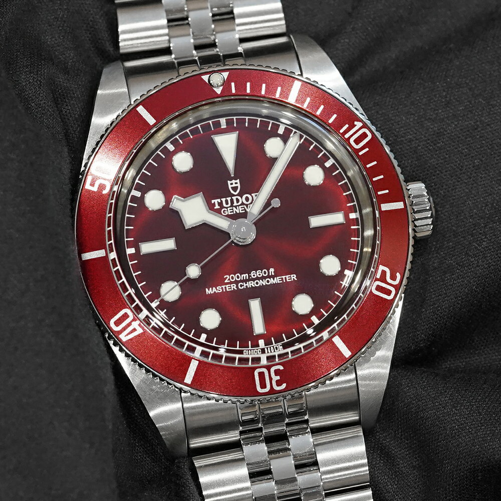 2025年4月保証書付き TUDOR ブラックベイ 58 Ref.7939A1A0RU バーガンディ 中古品 メンズ 腕時計