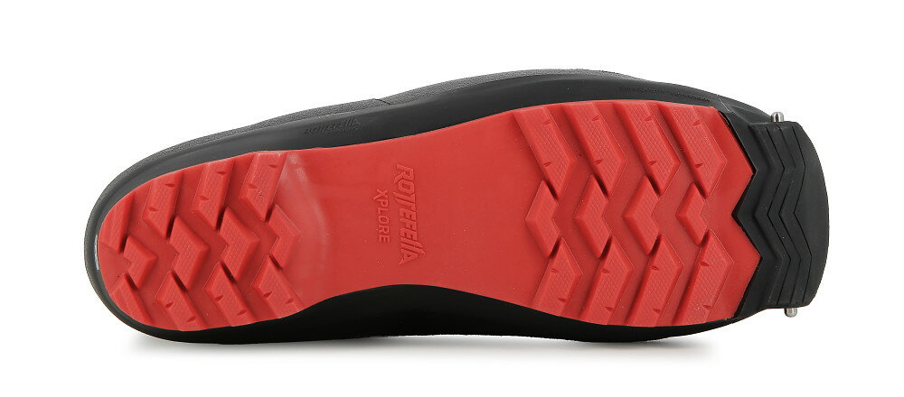 アルピナ（Alpina）パイオニアライト（PIONEER LIGHT）54371