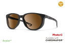 スミス(SMITH)SeekerMatte Black(CP Photo Brown)(4)