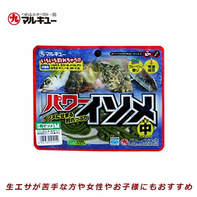 カワハギの釣り方とは 時期 場所 タックルまで釣り方のコツをご紹介 Kurashi No