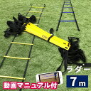 SPORTS科学 【動画マニュアル付】連結可能 ラダー トレーニング 7m プレート13枚 瞬速ラダー トレーニングラダー ラダートレーニング マーカーコーン ...