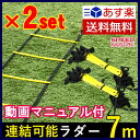 SPORTS科学 2個セット【動画マニュアル付】連結可能 ラ...