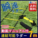 SPORTS科学 【動画マニュアル付】連結可能 ラダー トレ...