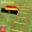 トレーニング ラダー 3m V-9 プレート5枚 SPORTS科学 ラダー トレーニング トレーニングラダー MAX SSPEN Vシリーズ サッカー フットサル【3m 5段】