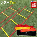 SPORTS科学 ラダー トレーニング（V-6