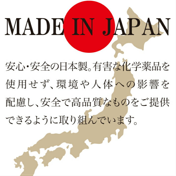 おいしい氷製氷機洗浄製氷機洗浄製氷機クリーナー製氷器除菌掃除家庭用業務用クリーナー製氷器洗浄剤便利グッズ冷凍庫製氷皿自動製氷機クエン酸クリーニング日本製