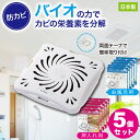 めざましテレビ 防カビ お風呂用 5個セット バイオくん 押入れ用 クローゼット 掃除 浴室 バイオ君 おフロ カビ かび 抑制 6ヶ月 防カビくん 納豆菌 大掃除 カビ取り アレルギー アトピー 対策 臭い カビの繁殖 日本製 バス用 化学薬品不使用 テープ付 ポイント消化 clean