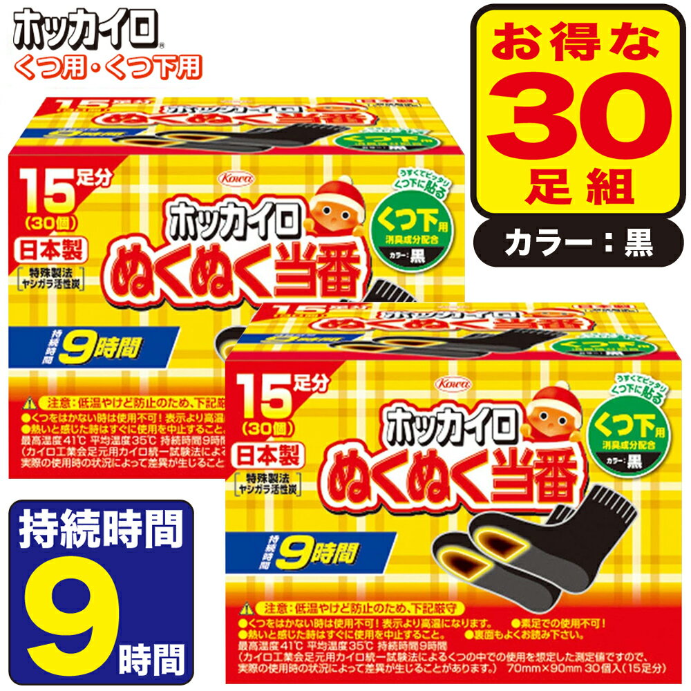 【送料込・まとめ買い×8個セット】小林製薬 桐灰カイロ マグマ くつ用敷く 超ロング 白色 足元用 25cm 3足入