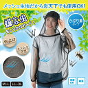 more-com123:10000370のサンプル画像3
