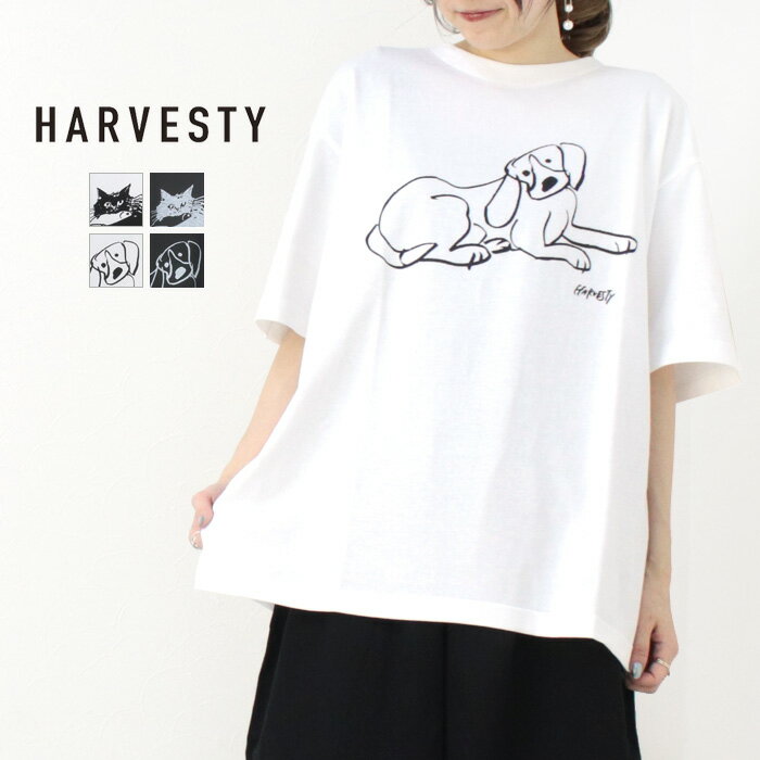 HARVESTY ハーベスティ サーカスパンツ ナローシルエット｜BORN