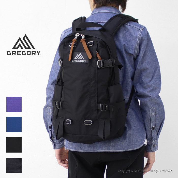 쥴꡼ GREGORY ǥѥå ALL DAY V2.1  ǥ ǥ Хå å