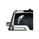 【送料無料】 オウム 鳥 色カスタム可 ステッカー 【受注生産】
