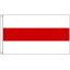 【送料無料】 国旗 ベラルーシ共和国 旧国旗 150cm × 90cm 特大 フラッグ 【受注生産】 4,190円