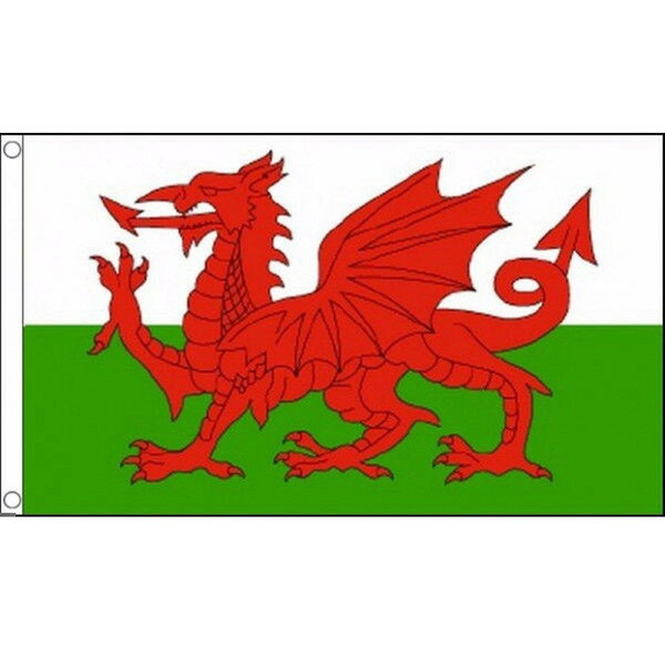 【送料無料】 国旗 ウェールズ 赤い竜 150cm × 90cm 特大 フラッグ 【受注生産】