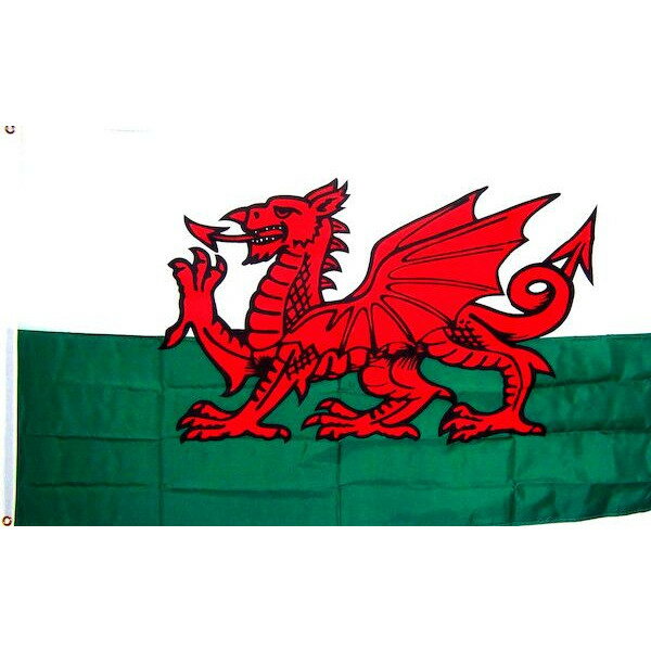 【送料無料】 国旗 ウェールズ 国獣 赤い竜 150cm × 90cm 特大 フラッグ 【受注生産】