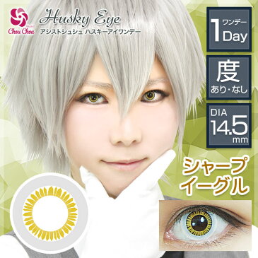 カラコン アシストシュシュ ハスキーアイ ワンデー 【1箱6枚入】 ハロウィン 度あり 度なし 14.5mm Husky Eye コスプレ 仮装 1day コンタクト 新色