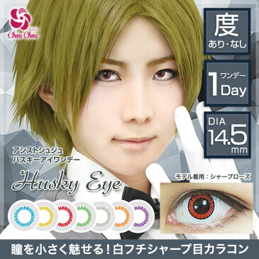 カラコン アシストシュシュ ハスキーアイ ワンデー 【1箱6枚入】 ハロウィン 度あり 度なし 14.5mm Husky Eye コスプレ 仮装 1day コンタクト 新色