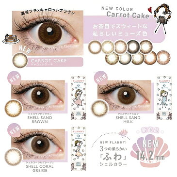 【20%OFFクーポン】カラコン【当日発送】フランミー【1箱10枚入り】度あり 度なし ワンデー 1day 14.2mm 14.5mm FLANMY 佐々木希 ナチュラル UVカット 高含水 カラー コンタクト