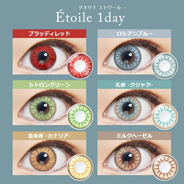 【9/1★13%OFFクーポン】カラコン クオリテ エトワール ワンデー【1箱10枚入】度あり 度なし 14.5mm Nomehi QUALITE 1day 1日 コスプレ UVカット ハロウィン 低含水 カラー コンタクト