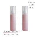 【2023】ARIMINO アリミノ スプリナージュ モイストヴェール ミスト 120ml【2本セット】サロン専売品 サロン 専売 美容室 美容室で使われている...