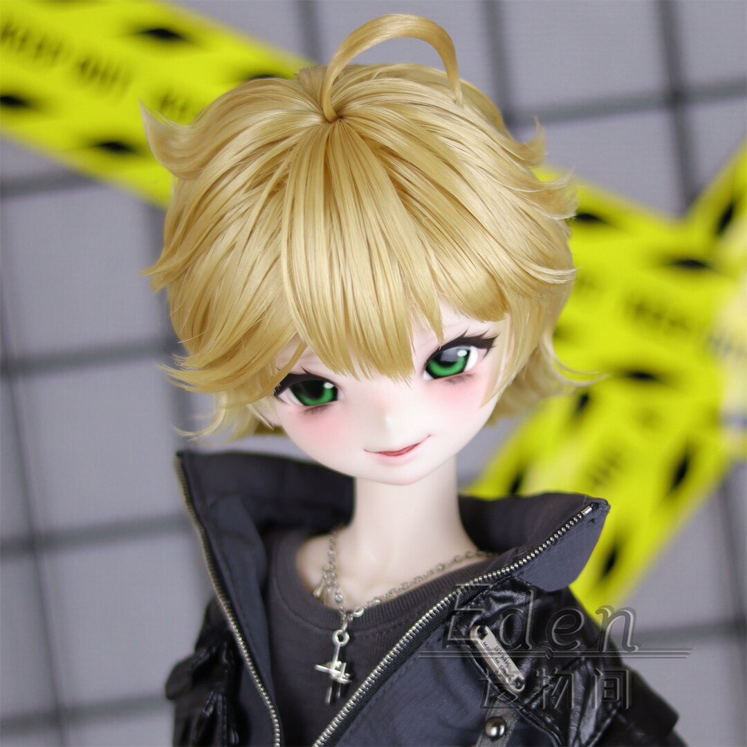 ̵Eden¤ʪ间 ɡ å 1/3 ʬΰ 22.5-23.5cm ȱ ȱ 硼 ˤλ 