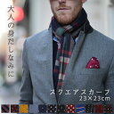【送料無料】スカーフ メンズ 春 夏 秋 冬 用 柄 正方形 23×23cm 全12色 プレゼント ギフト ストール 首 ハンカチ スーツ 婚活 身だしなみ オ...