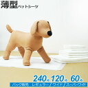 パック 薄型ペットシーツ レギュラー 45×33cm 240枚×1パック / ワイド 60×45cm 120枚×1パック / スーパーワイド 90×60cm 6...