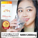 モアリッチ株式会社 NMNミライ 12000mg