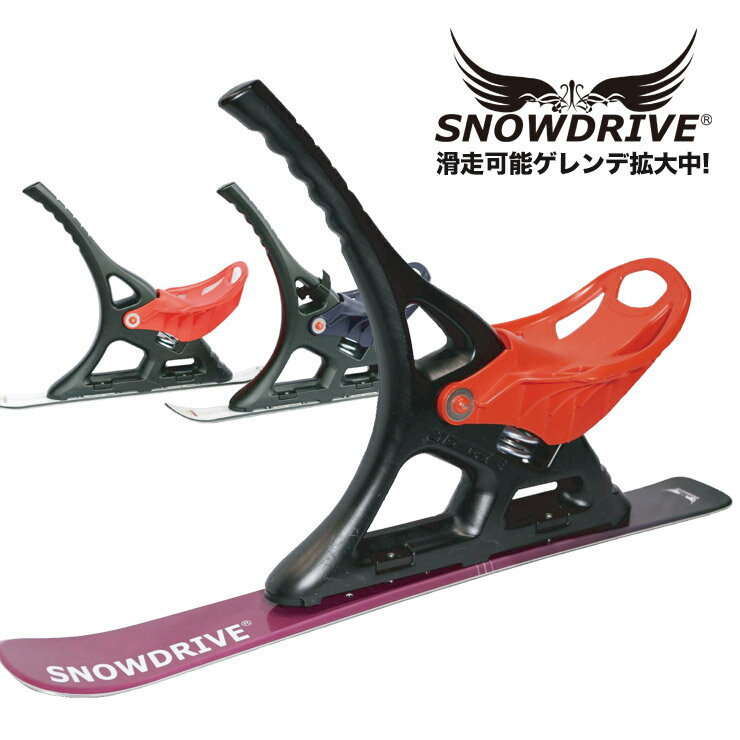 SNOW DRIVE Xm[hCu Xm[{[h XL[  V SNOWDRIVE