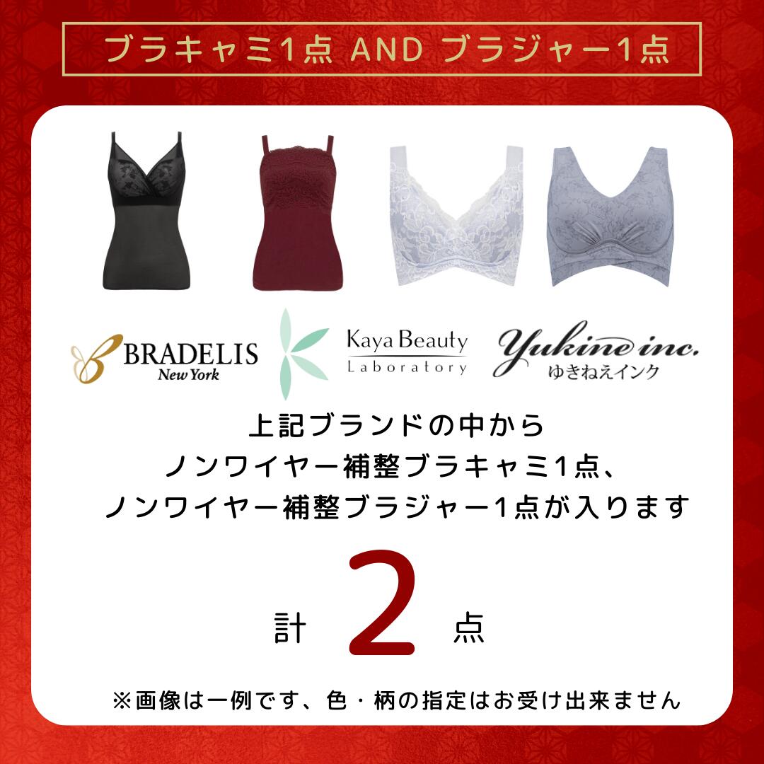 【楽天1位】 福袋 レディースインナー 5点入り 2026 新春 初春 当店限定 ブラデリ...