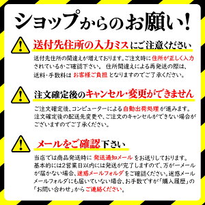 犬散歩ライト夜LEDひかる光るペット安全LEDライト事故防止首輪リードおさんぽカラビナキーホルダー点灯点滅夜間早朝ワンちゃんわんちゃんわんこワンコ猫夜道ネオン