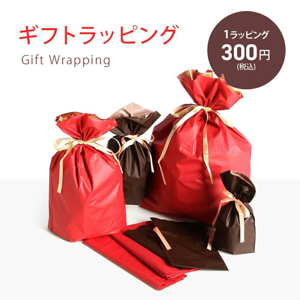 ラッピングキット ギフト 内袋付き 紙袋 包装SET ギフトラッピング 袋 wrapping プレゼント セルフラッピングキット 包装 贈り物 ラッピングセット 不織布 リボン付き 誕生日 バースデー 包む セルフ