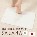 【安心の日本製】SALANA 珪藻土 バスマット 29cm×44cm ノンアスベ