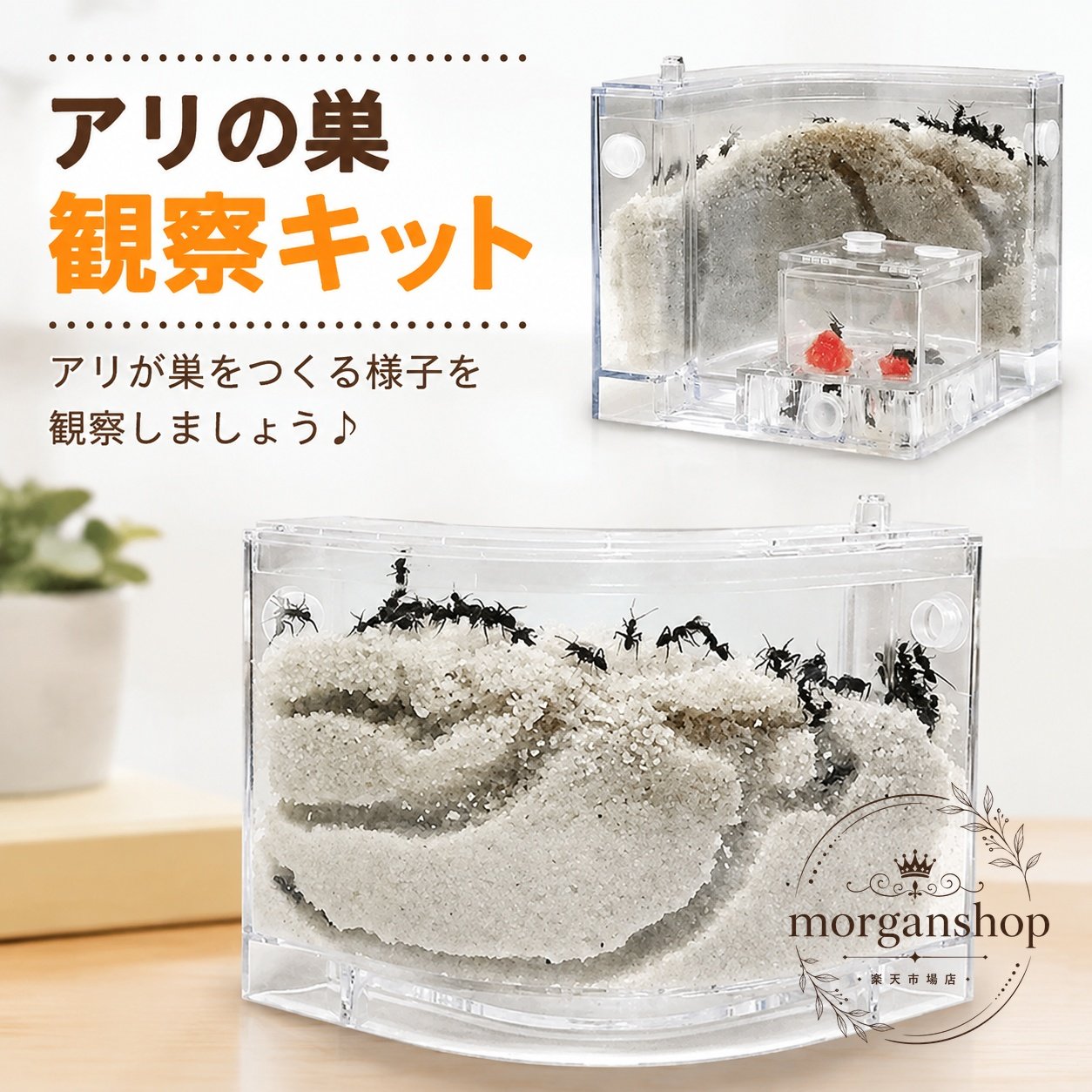 アリの巣づくりの様子を観察しやすい、透明タイプのアリの巣観察キットです。商品特徴：アリの動きや巣の形成過程を観察しやすい透明飼育ケース仕様です。適用シーン：自由研究、夏休みの学習用、昆虫観察、家庭での飼育・実験におすすめです。仕様情報：砂入りの観察用セットとして使用でき、アリの飼育・観察に活用できます。使用・注意事項：生体を扱うため、設置環境や給餌、換気、直射日光を避けるなど、飼育条件にご注意ください。掲載内容は商品画像・商品名から確認できる範囲に基づきます。アリの巣づくりの様子を観察しやすい、透明タイプのアリの巣観察キットです。商品特徴：アリの動きや巣の形成過程を観察しやすい透明飼育ケース仕様です。適用シーン：自由研究、夏休みの学習用、昆虫観察、家庭での飼育・実験におすすめです。仕様情報：砂入りの観察用セットとして使用でき、アリの飼育・観察に活用できます。使用・注意事項：生体を扱うため、設置環境や給餌、換気、直射日光を避けるなど、飼育条件にご注意ください。掲載内容は商品画像・商品名から確認できる範囲に基づきます。