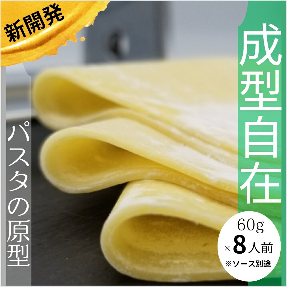 《成型前パスタシート》60g 8人前　野菜ソムリエ　国産小麦粉　保存料防腐剤香料無添加　スパゲティー 生パスタ ミシュランガイド　ミシュランシェフ監修　野菜ソムリエ監修パスタマシーンサイズ　広島Aji-to 業務用　新商品