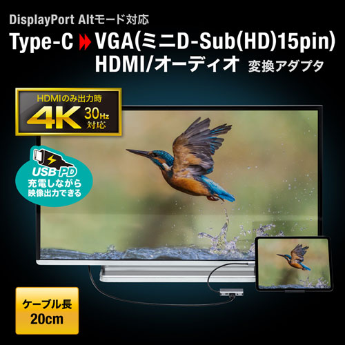サンワサプライ　USB Type C-HDMI/VGA変換アダプタ(4K/30Hz/PD対応)　AD-ALCHV02