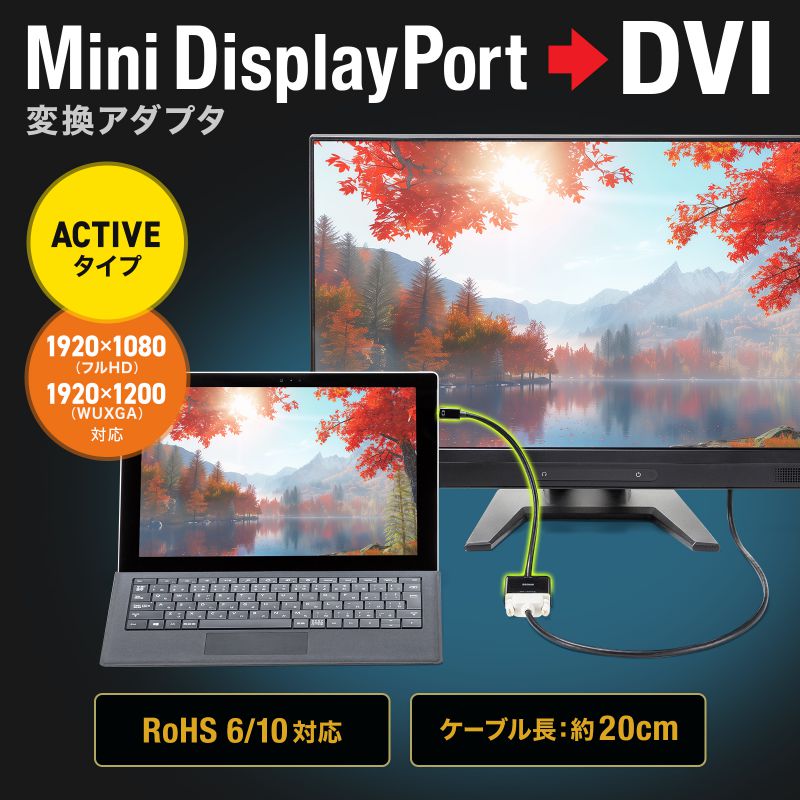 サンワサプライ　Mini DisplayPort-DVI変換アダプタ(Activeタイプ)　AD-MDPDVA02