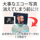 【エコー写真のデータ化】お写真10枚までCDでのお仕上げ！