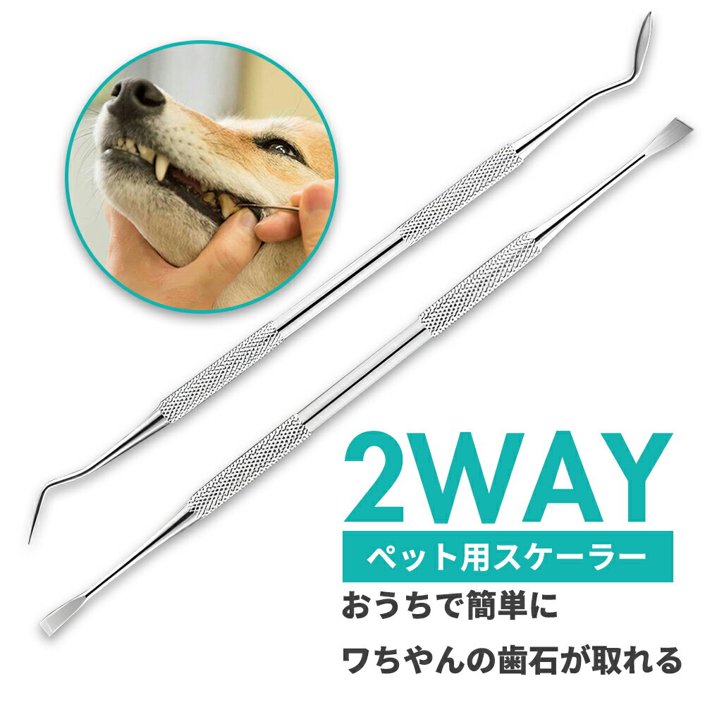 �ڥ�ӥ塼��ŵ���ֻ��и�&2����10��OFF�ۻ��м�� �����饤�� 4�����å� 40cc �ڥå��� ���� �� �� ���Ф� ���� ���� ���� ���᤭ʴ ������ ���᤭ ���ߤ��� �Ϥߤ��� �ϥ֥饷 ���֥饷 �������� �֥饷 ���å� �������� �������顼 �ڥå�