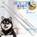 【楽天スーパーSALE】歯石取り ゼオライト 2点セット 40cc ペット用 犬用 犬 歯 黄ばみ 汚れ 歯石 除去 歯磨き粉 歯周病 歯磨き 歯みがき はみがき ハブラシ 歯ブラシ 口臭ケア ブラシ カップ スケール スケーラー ペット