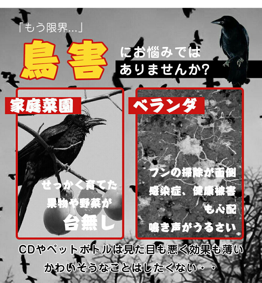＼森川2点で10%OFF／鳥よけフクロウ 鳥よけテープ 鳥よけグッズ 防鳥対策 鳥被害対...