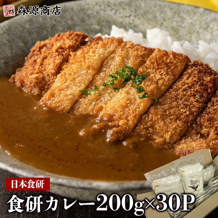 カレー レトルト 食研カレー 200g×30袋 30人前 中辛 箱売り 業務用販売 湯煎 温めるだけ レトルト 日本食研 惣菜 カ…