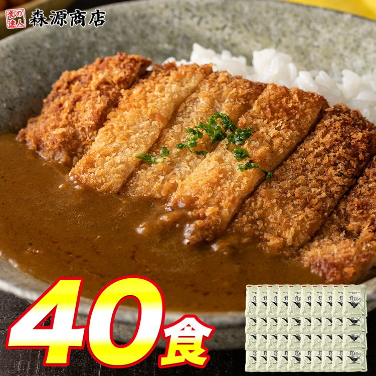 ＼タイムセール6,200円!!／ カレー レトルト 食研カレー 200g×40袋 40人前 中辛 箱売り 業務用 湯煎 レトルト 日本食研 保存食 災害 備蓄 食料 避難セット 食品 惣菜 父の日 ギフト 森源商店 スーパーSALE