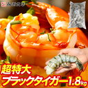 ブラックタイガー ＼ただいまタイムセール500円OFF！／ 超特大 ブラックタイガー 無頭エビ 1.8kg 8/12 サイズ 約32尾～48尾 ワンフローズン 海老 ギフト