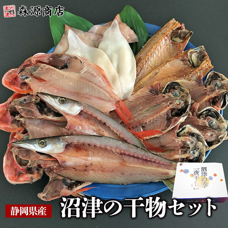 沼津の幸 一夜干しセット 金目鯛 真アジ 開きイカ かます サバ味醂 贈答用 父の日 ギフト