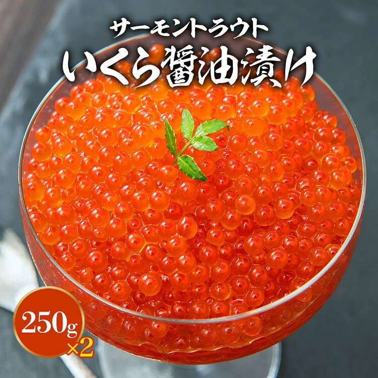 ＼25日限定★エントリ＆抽選で100%ポイントバック！／ トラウト いくら 醤油漬け 250g×2パック 計500g サーモン 鮭 おせち 丼 ギフト プレゼント お歳暮 morigen-10000972 食の達人森源商店 サンプル画像2