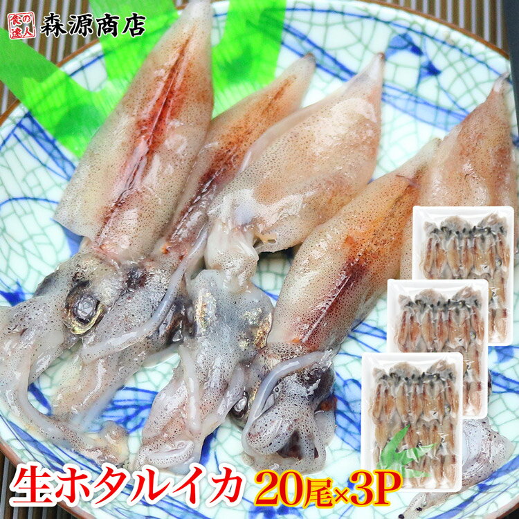 ＼タイムセール 2 680円→2 380円／ ホタルイカ 生 刺身 父の日 ギフト 生食 20尾入り 3パックセット ほたるいか 蛍烏賊 珍味 スーパーSALE