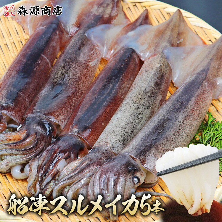 するめいか 丸物１５キロ 楽天市場】イカ丸ごとスルメイカの通販