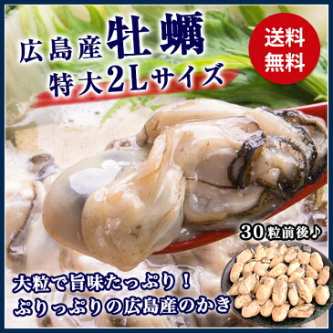 大粒2L 広島県産！ 約1kg　(NET850g) 加熱用 業務用 メガ盛り カキフライやお鍋に！　牡蠣 カキ かき　【送料無料】《※冷凍便》 バーベキュー/BBQ