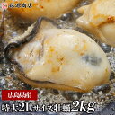 大粒2Lカキ 広島県産 約1kg×2P 合計2kg 加熱用 業務用 メガ盛り カキフライ 鍋 バーベキュー BBQ 母の日 ギフト プレゼント